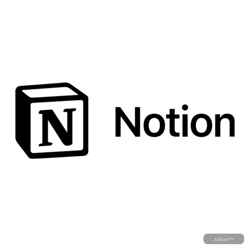 Notion Business 12m
